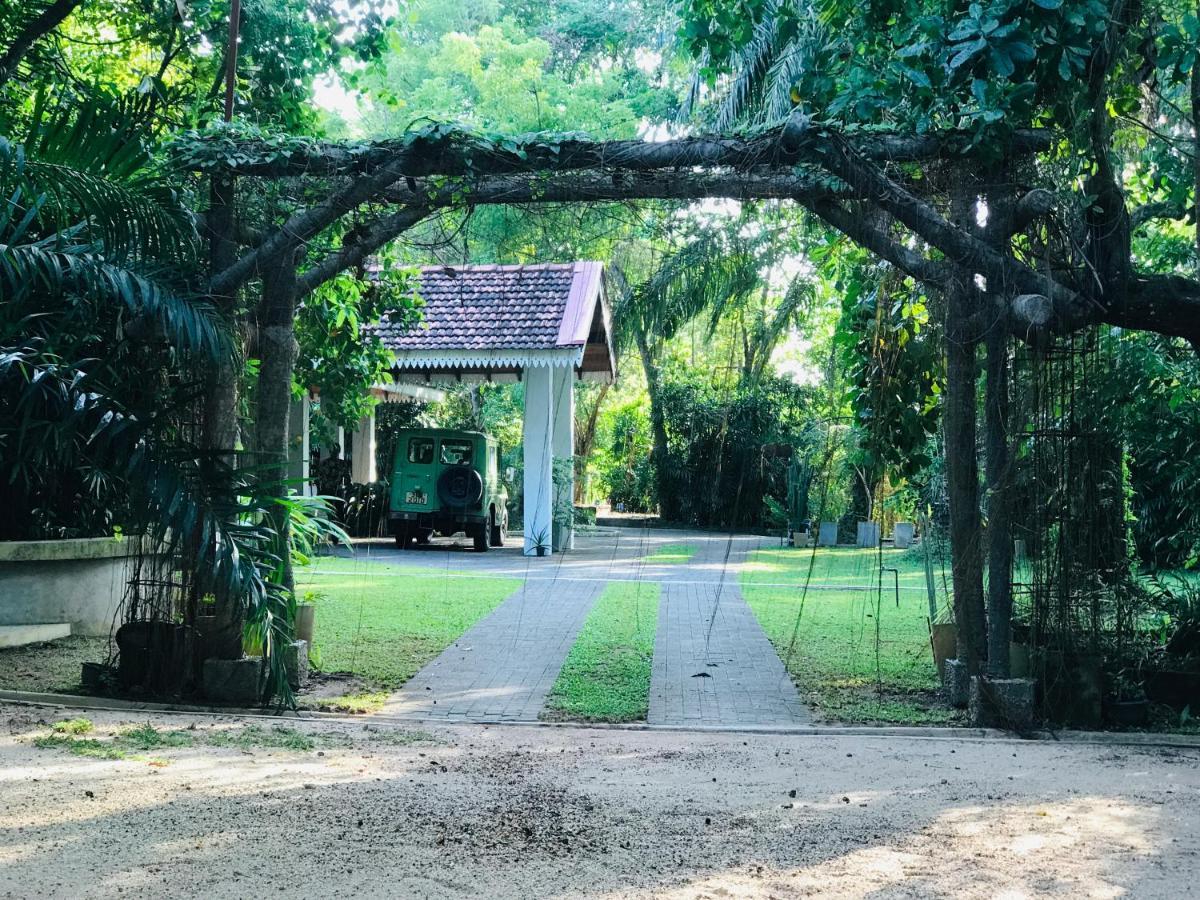 Ceylon Kingsmen Garden Hotel - Katunayake Negombo Dış mekan fotoğraf