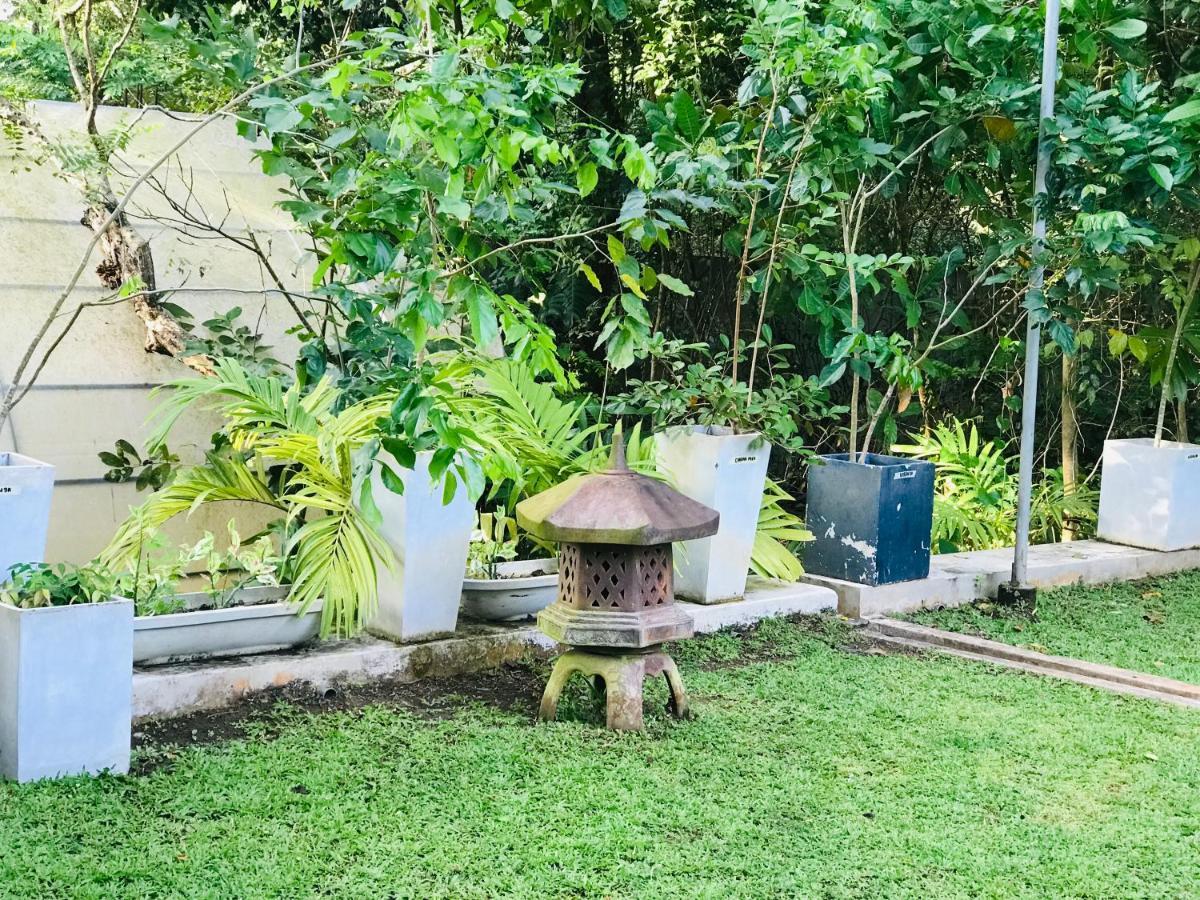Ceylon Kingsmen Garden Hotel - Katunayake Negombo Dış mekan fotoğraf
