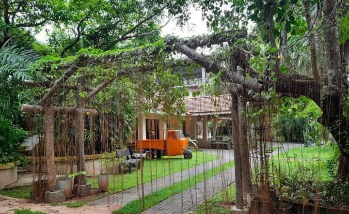 Ceylon Kingsmen Garden Hotel - Katunayake Negombo Dış mekan fotoğraf