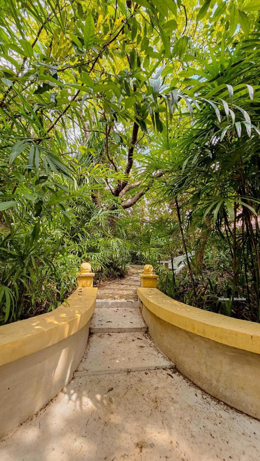 Ceylon Kingsmen Garden Hotel - Katunayake Negombo Dış mekan fotoğraf