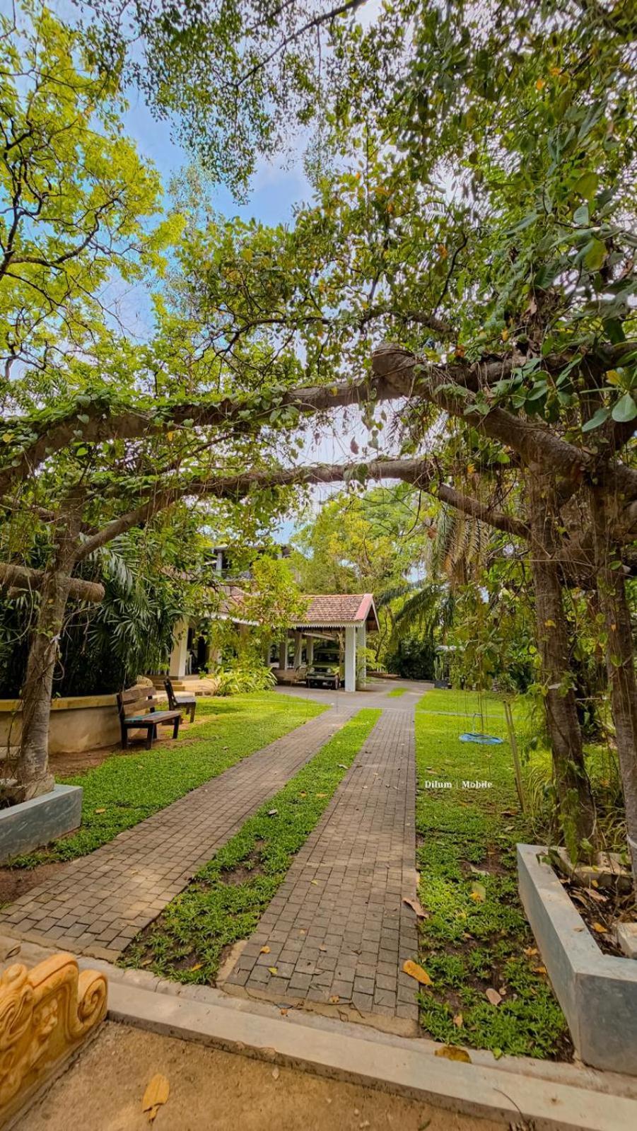 Ceylon Kingsmen Garden Hotel - Katunayake Negombo Dış mekan fotoğraf
